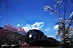 蒸気機関車の春